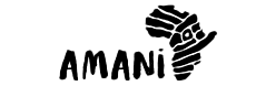 Amani Institute